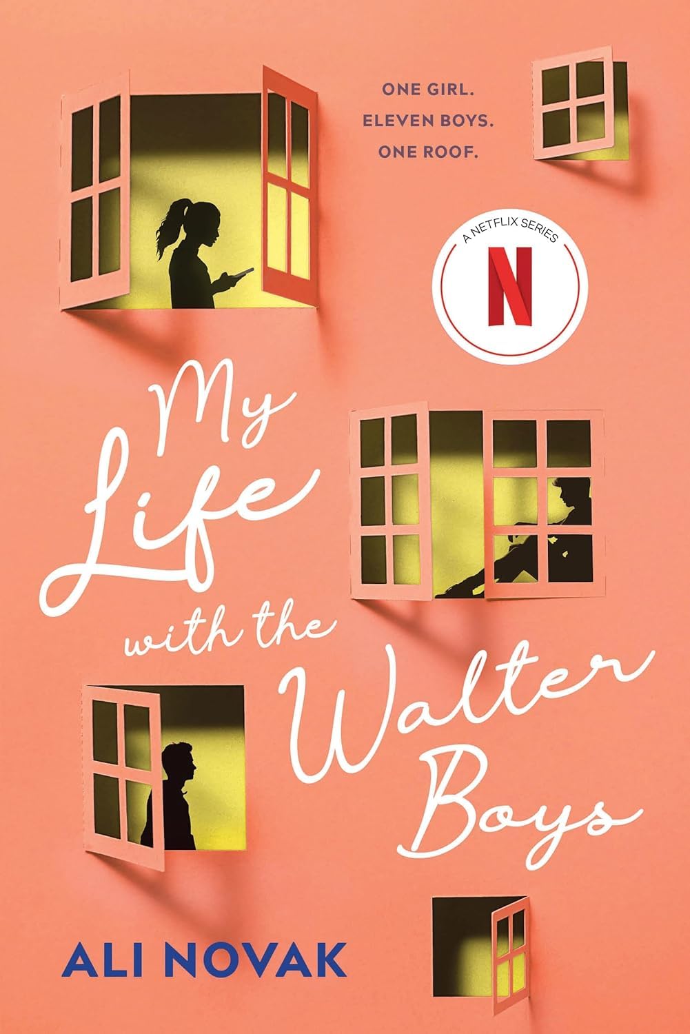 My Life with the Walter Boys BY Ali Novak