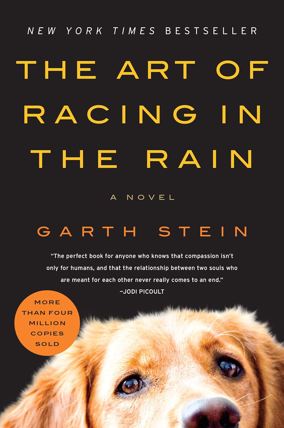 The Art of Racing in the Rain BY Garth Stein