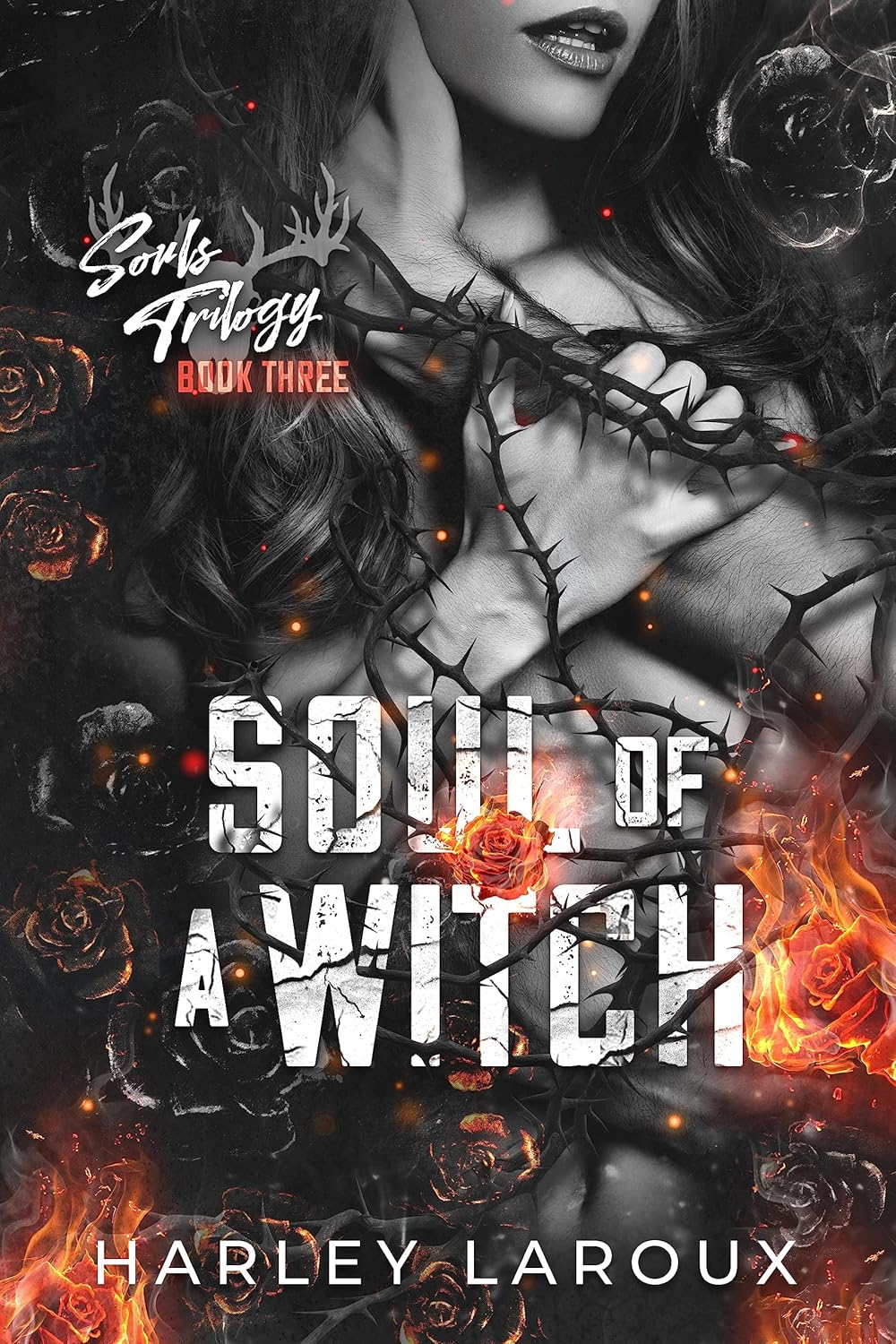 Soul of a Witch BY Harley Laroux