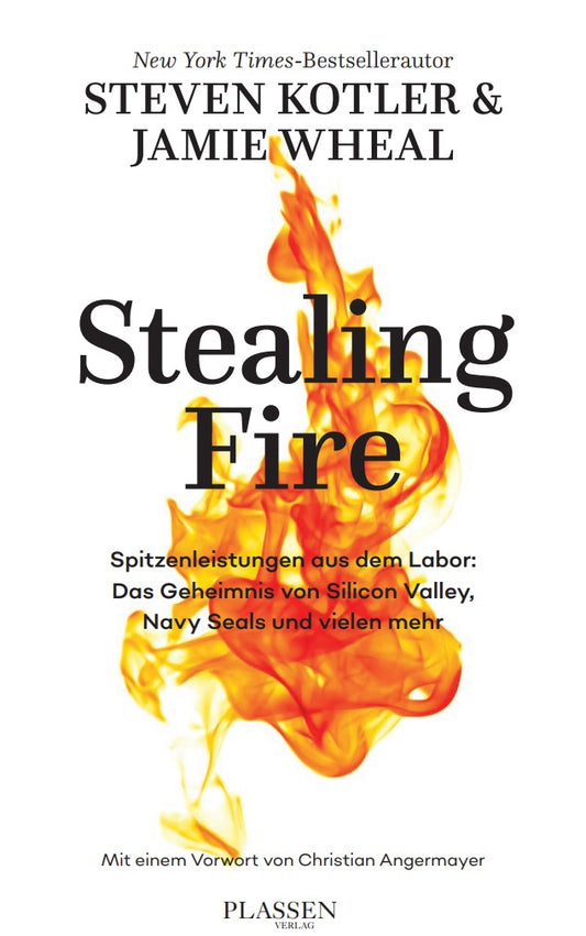 Stealing Fire By Steven Kothler